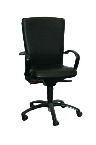 Dauphin AP 5490